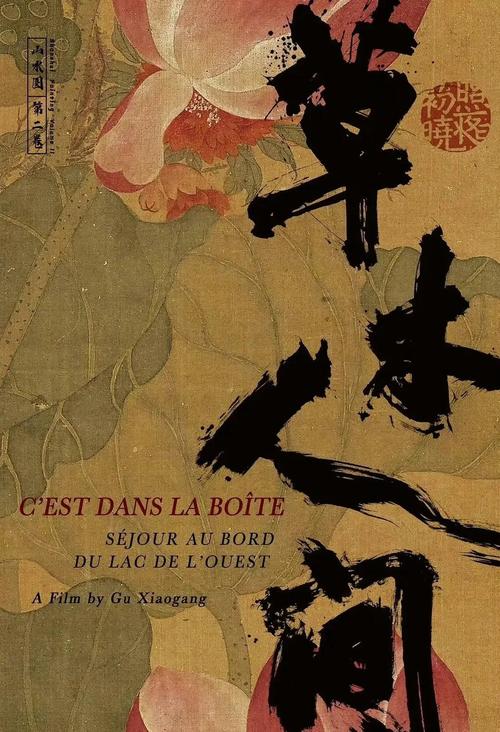深圳电影院最新上映电影的相关介绍